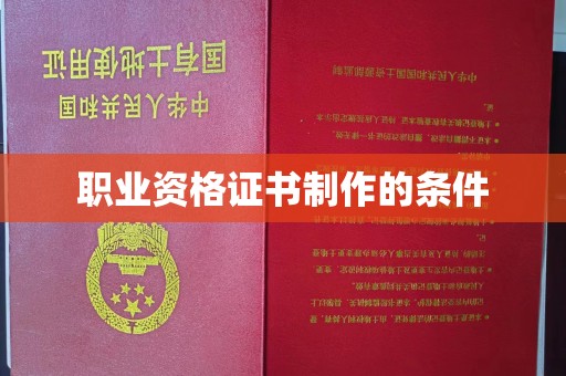 蕉城职业资格证书制作的条件