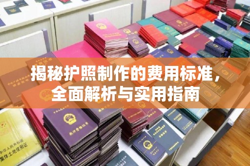 蕉城揭秘护照制作的费用标准，全面解析与实用指南