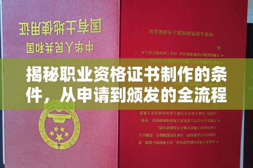 蕉城揭秘职业资格证书制作的条件，从申请到颁发的全流程解析