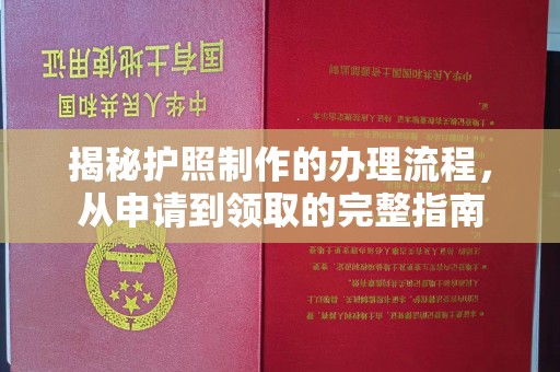 蕉城揭秘护照制作的办理流程，从申请到领取的完整指南