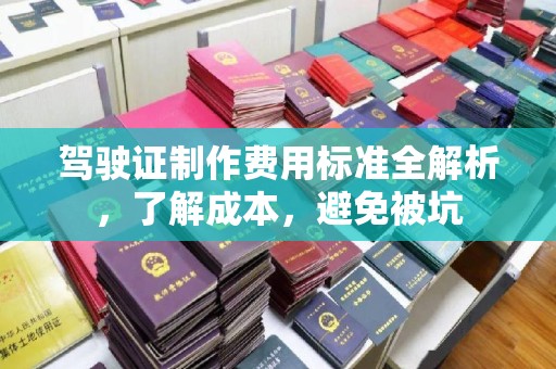 蕉城驾驶证制作费用标准全解析，了解成本，避免被坑