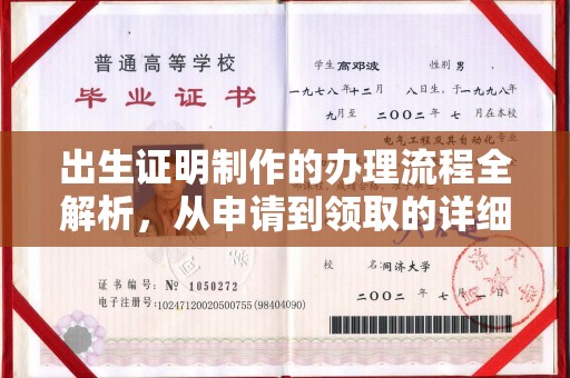 蕉城出生证明制作的办理流程全解析，从申请到领取的详细指南