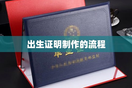 蕉城出生证明制作的流程