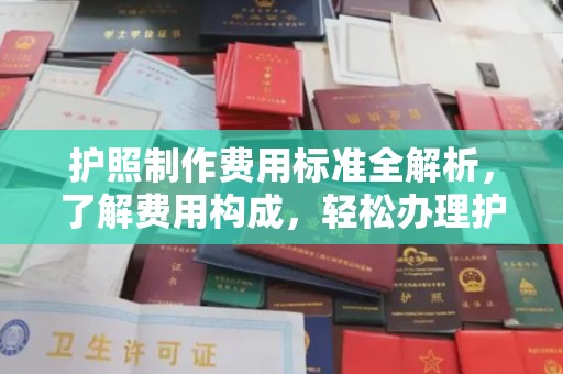 蕉城护照制作费用标准全解析，了解费用构成，轻松办理护照